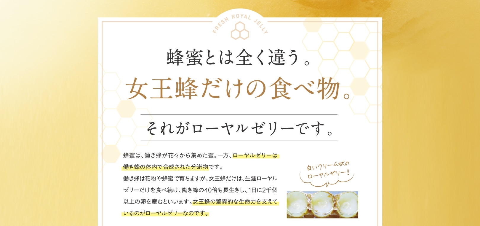 蜂蜜とは全く違う。女王蜂だけの食べ物。