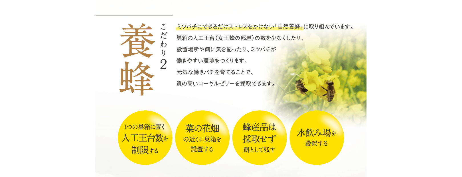 養蜂